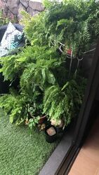 Braddell View (D20), Apartment #538024101